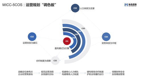 縱合咨詢micc 企業戰略定位及管理咨詢領域的特色品質企業